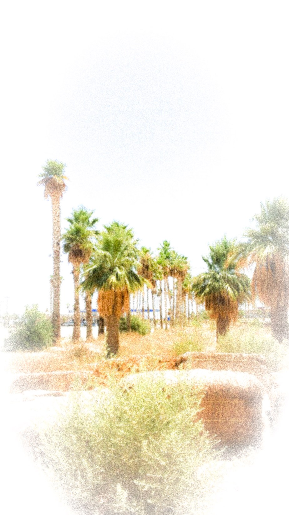 PSX_20140528_120323.jpg image