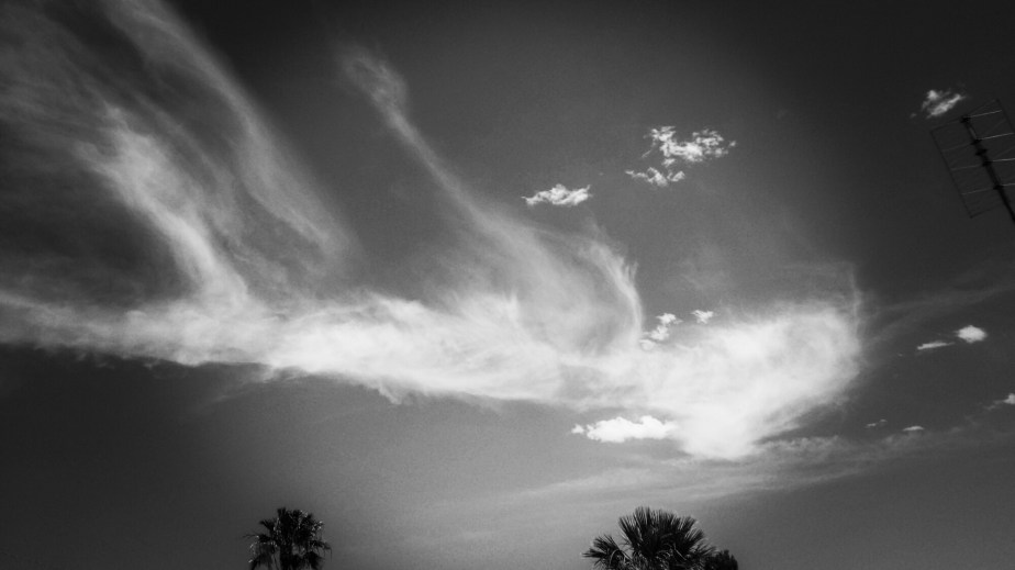 wp-1400813535372 image