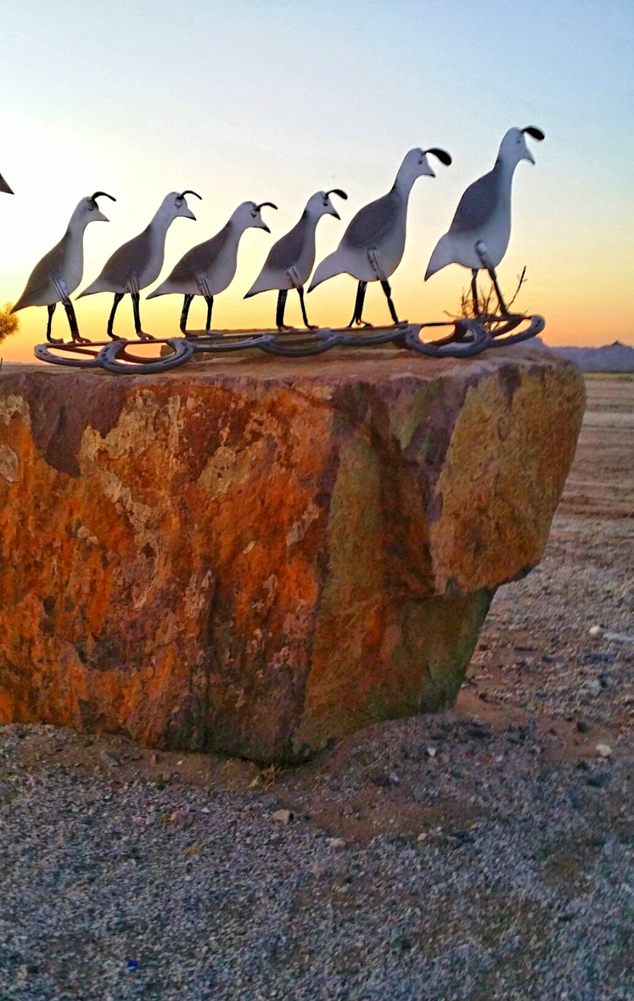 wp-1400983589071 image