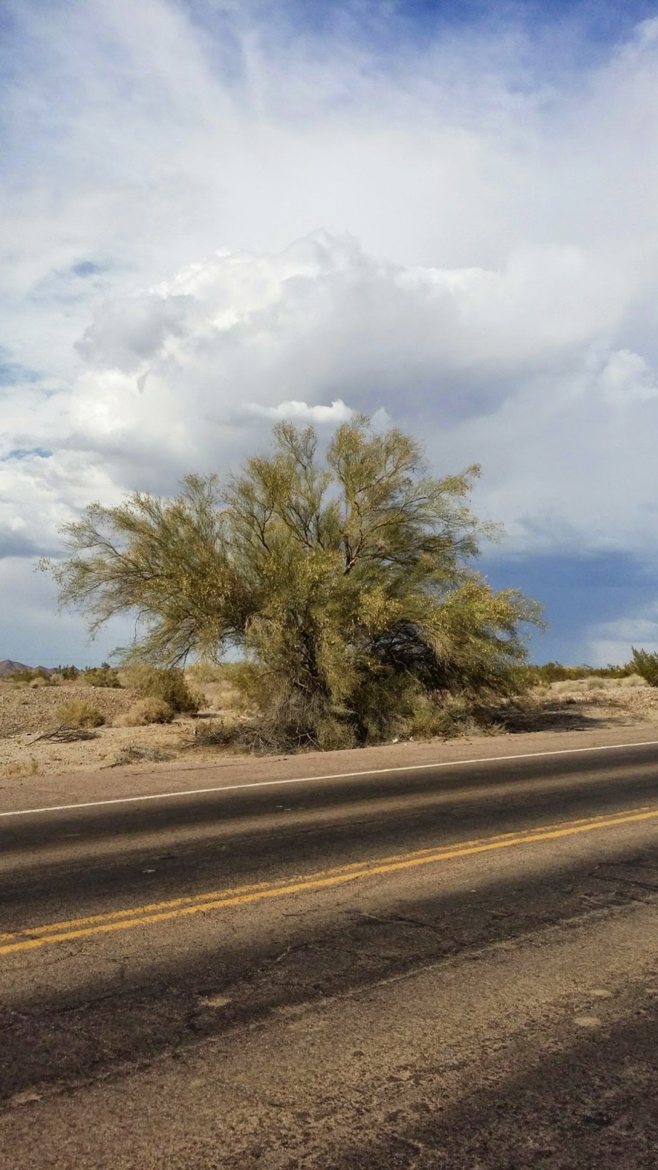 wp-1401076866691 image