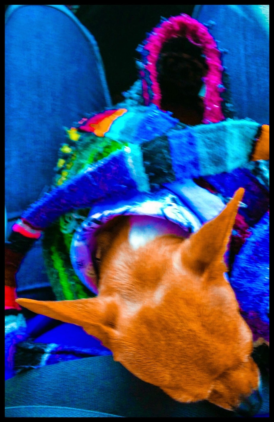 wp-1401406623494 image