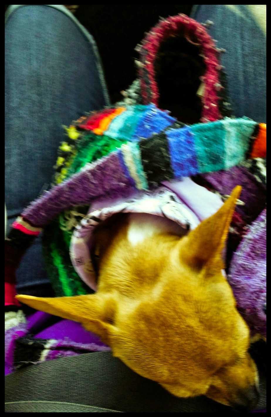 wp-1401406658477 image