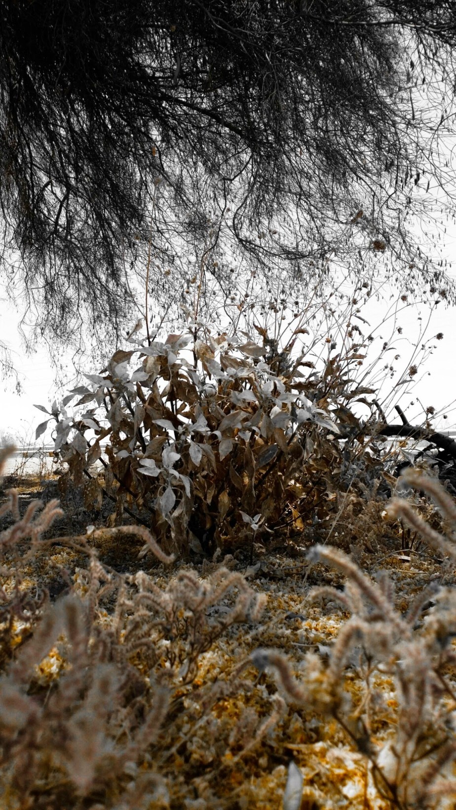 wp-1401427945925 image