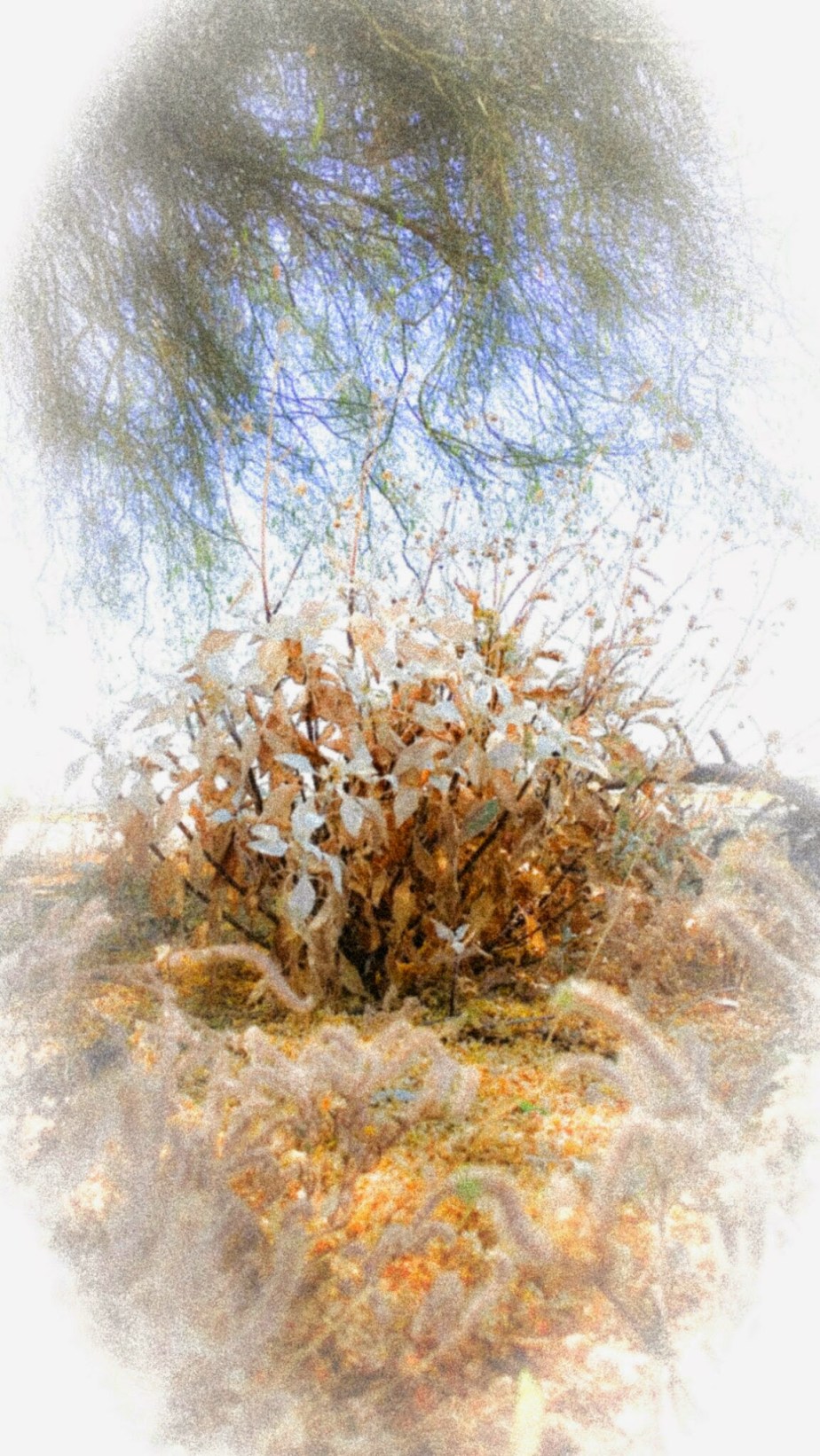 wp-1401428034874 image