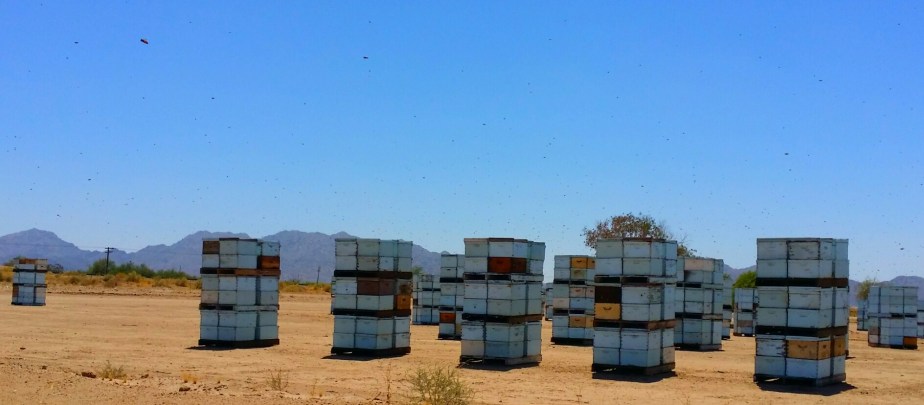 2014-06-11 14.40.57.jpg image