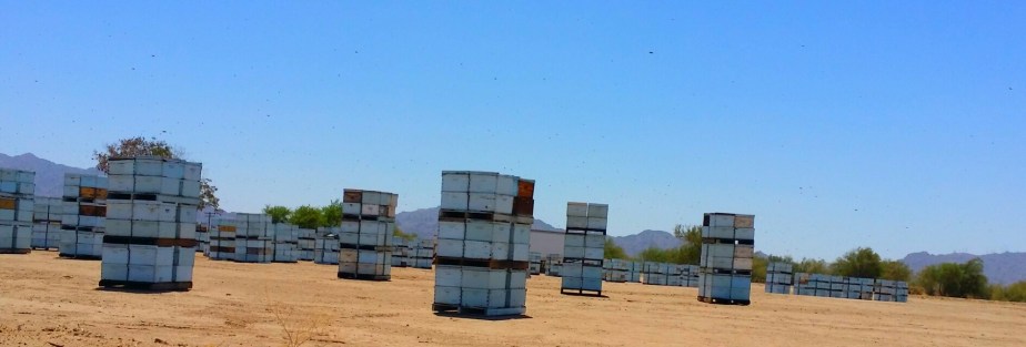 2014-06-11 14.50.21.jpg image