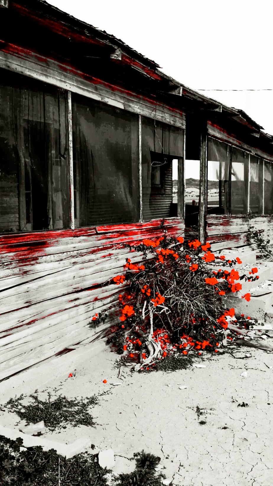 2014-06-19 13.28.27.jpg image