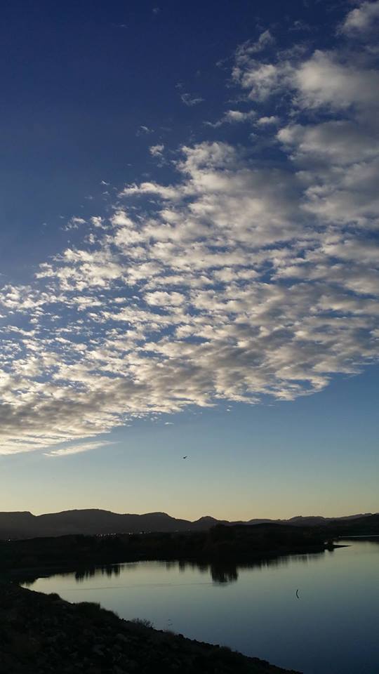 IMG_4325194078303.jpeg image