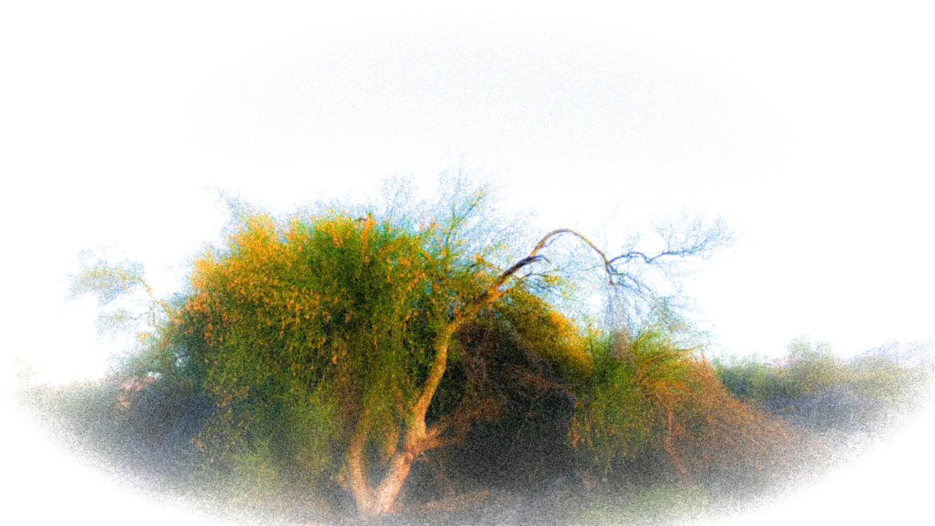 PSX_20140603_193509.jpg image