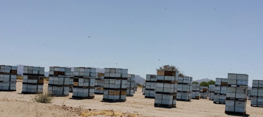 PSX_20140610_182024.jpg image