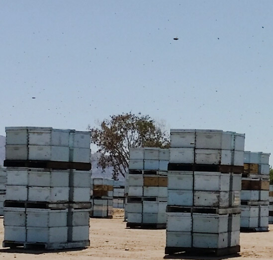 PSX_20140611_145215.jpg image