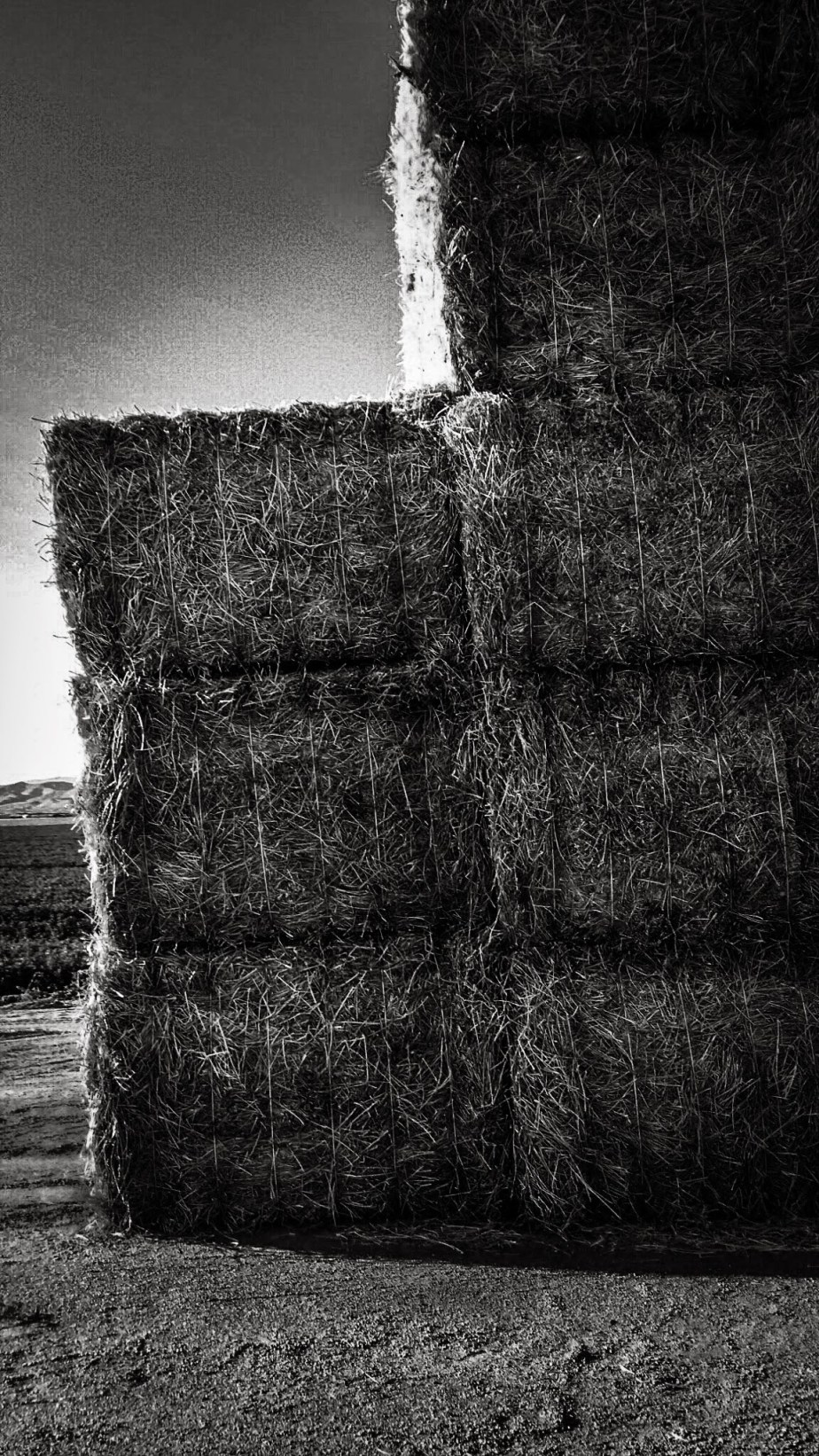 wp-1402196508932 image