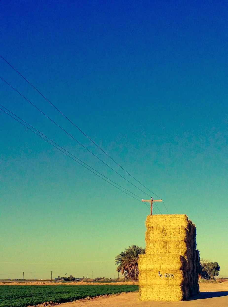 wp-1402199121004 image