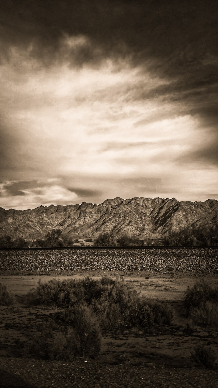 wp-1402516404834 image