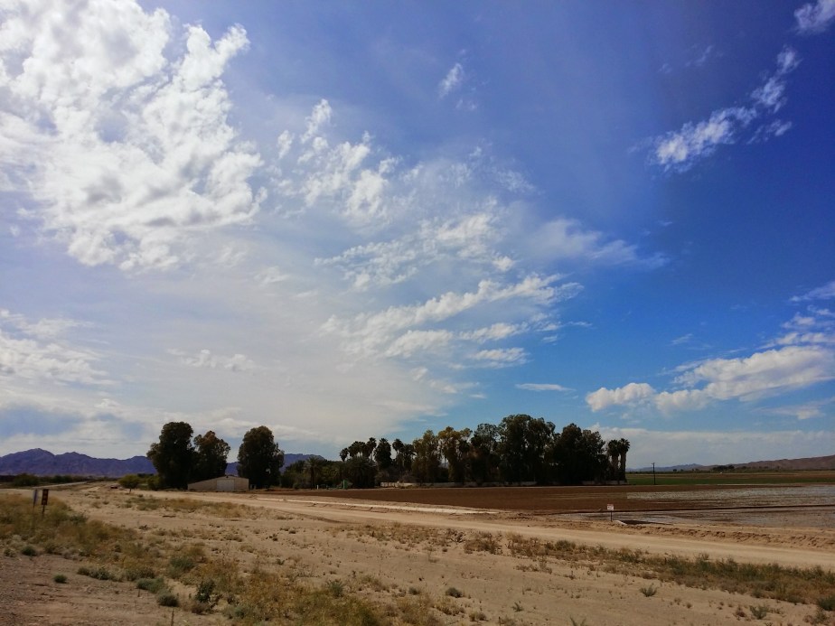 wp-1402949304077 image