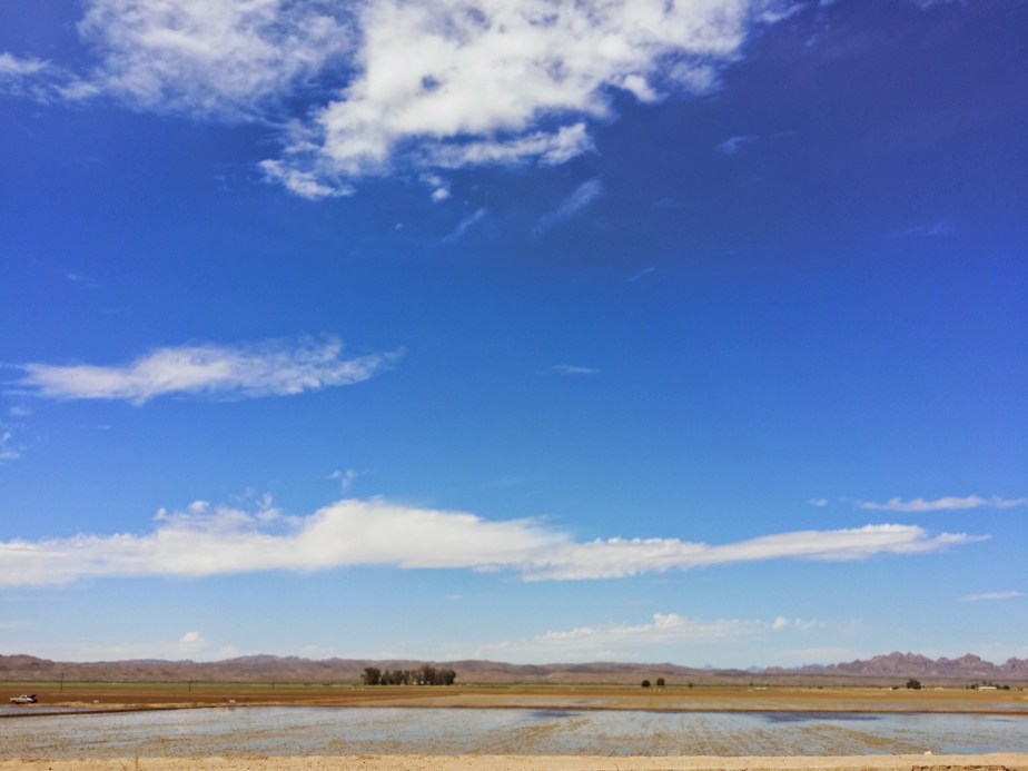 wp-1402949395235 image