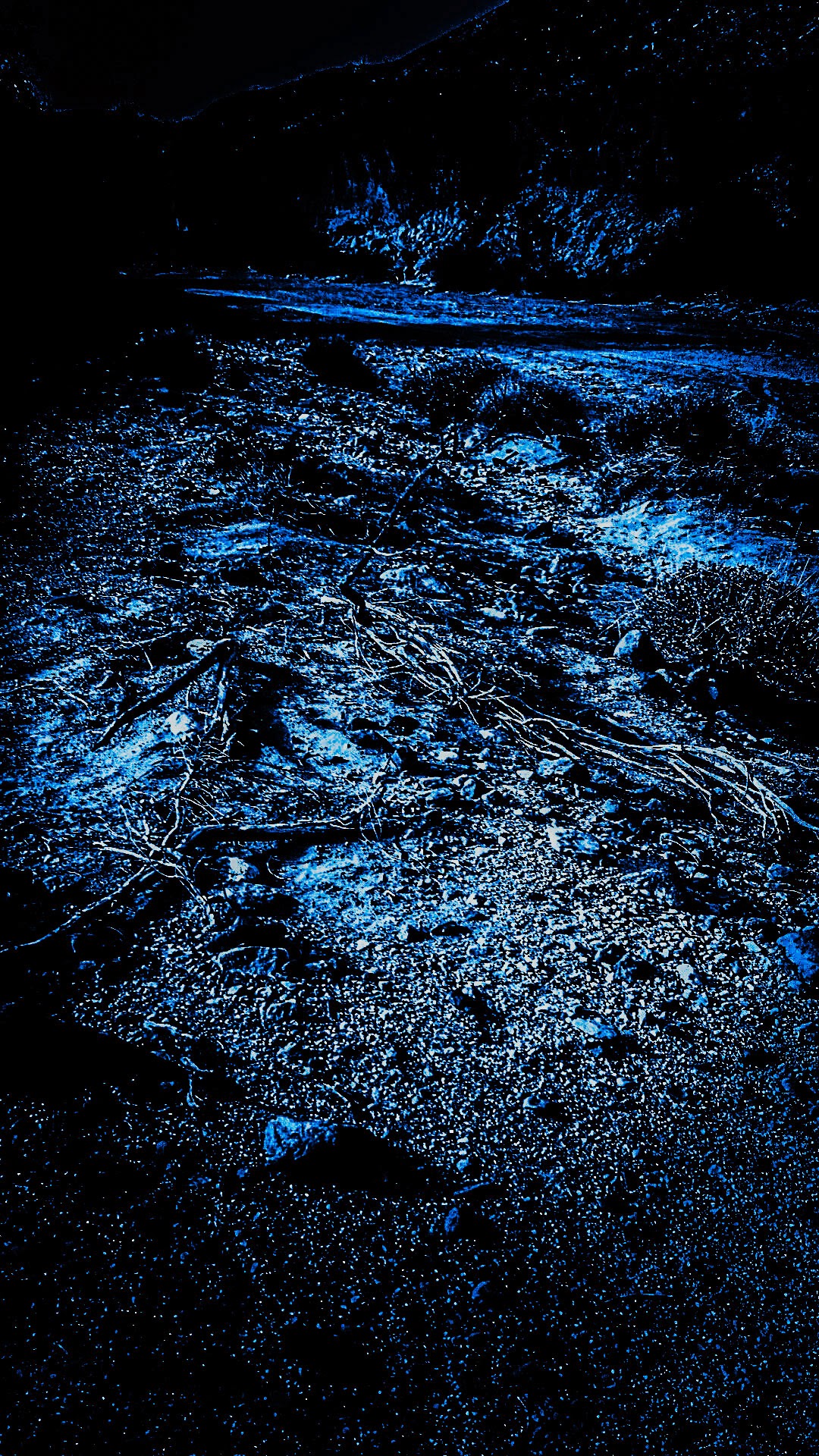 wp-1403239467358 image