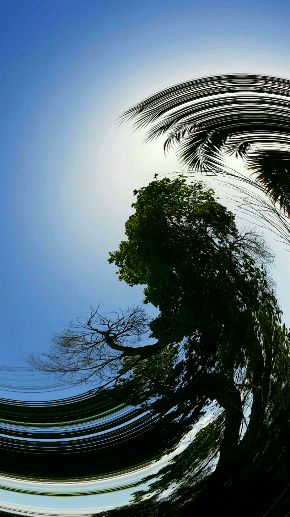 wp-1403241987433 image