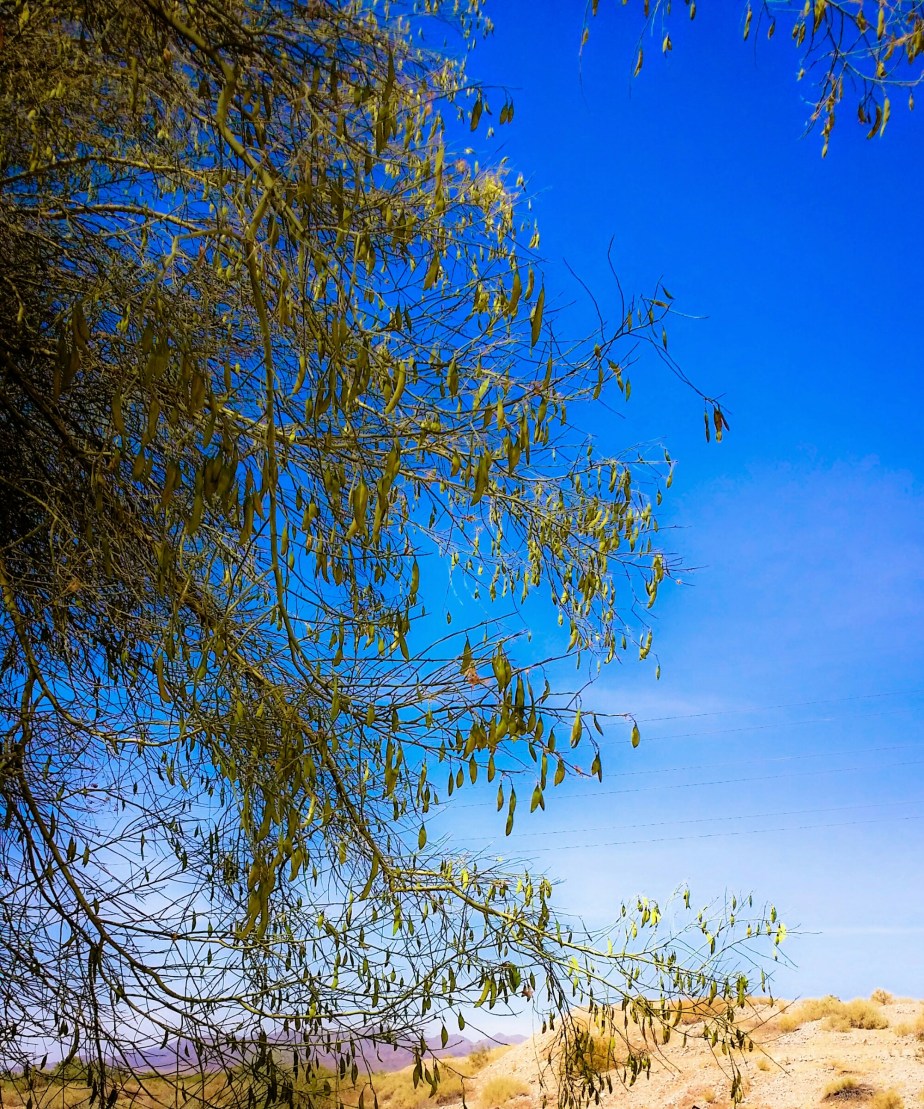 wp-1403306611214 image