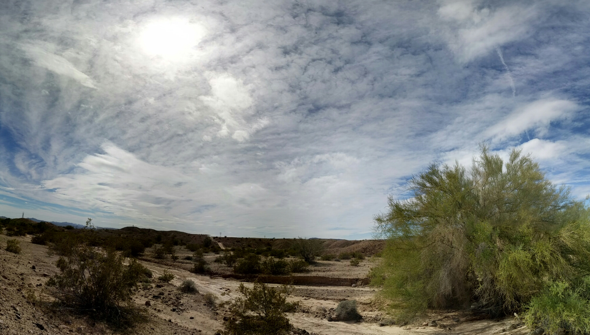 20140228_122356.jpg image