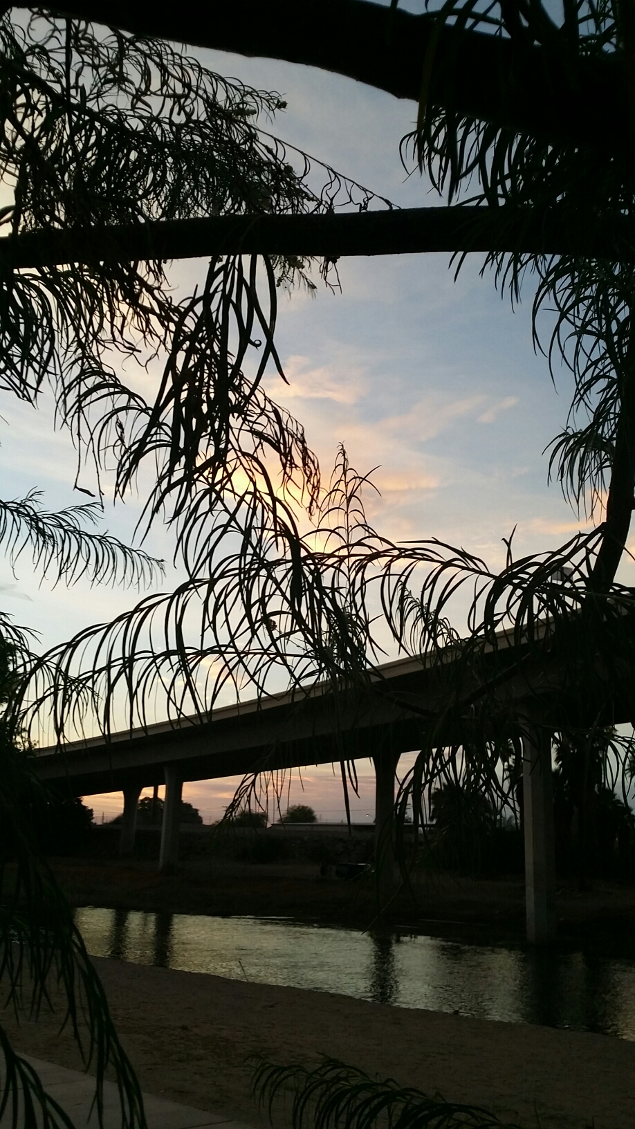 20140709_195316.jpg image