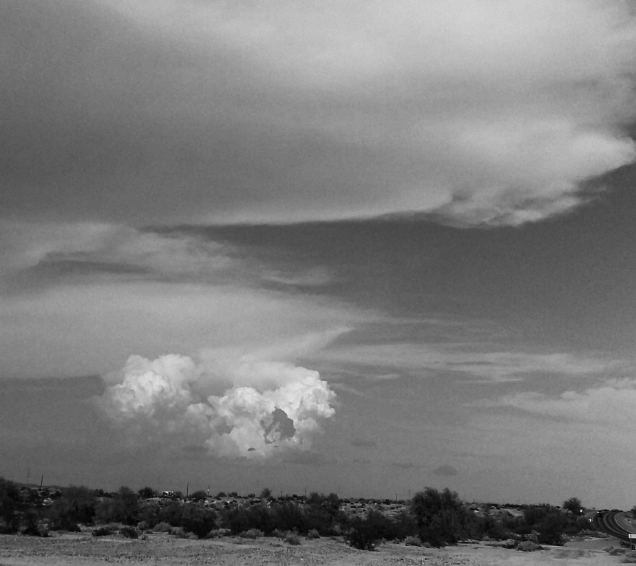 PSX_20140708_164437.jpg image