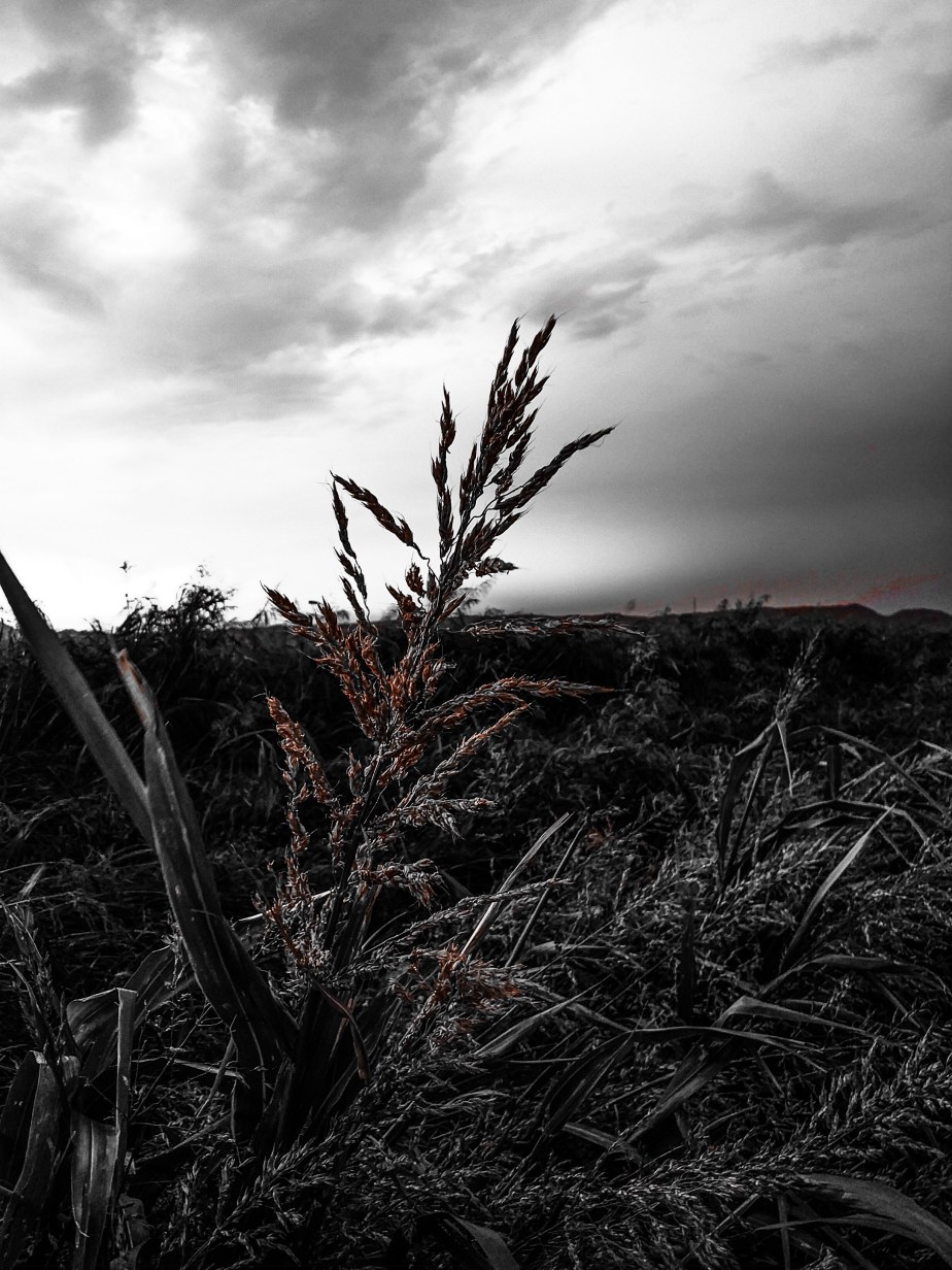 wp-1404854273711 image