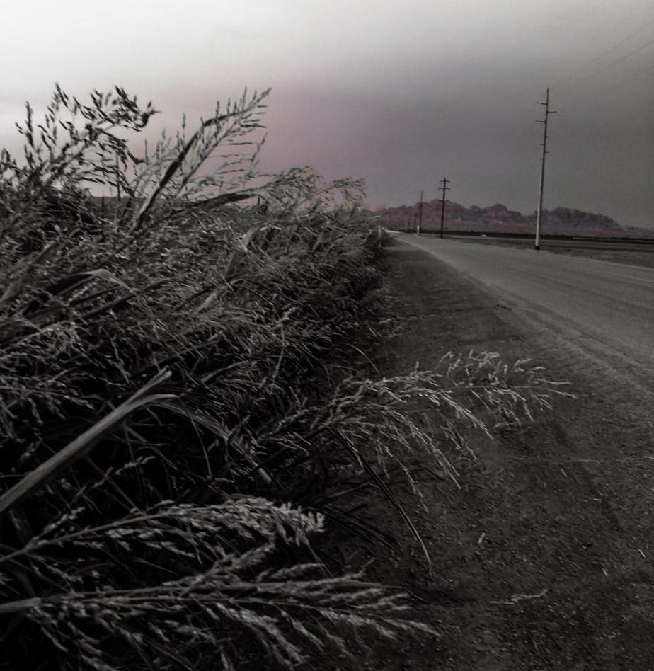 wp-1404854762001 image