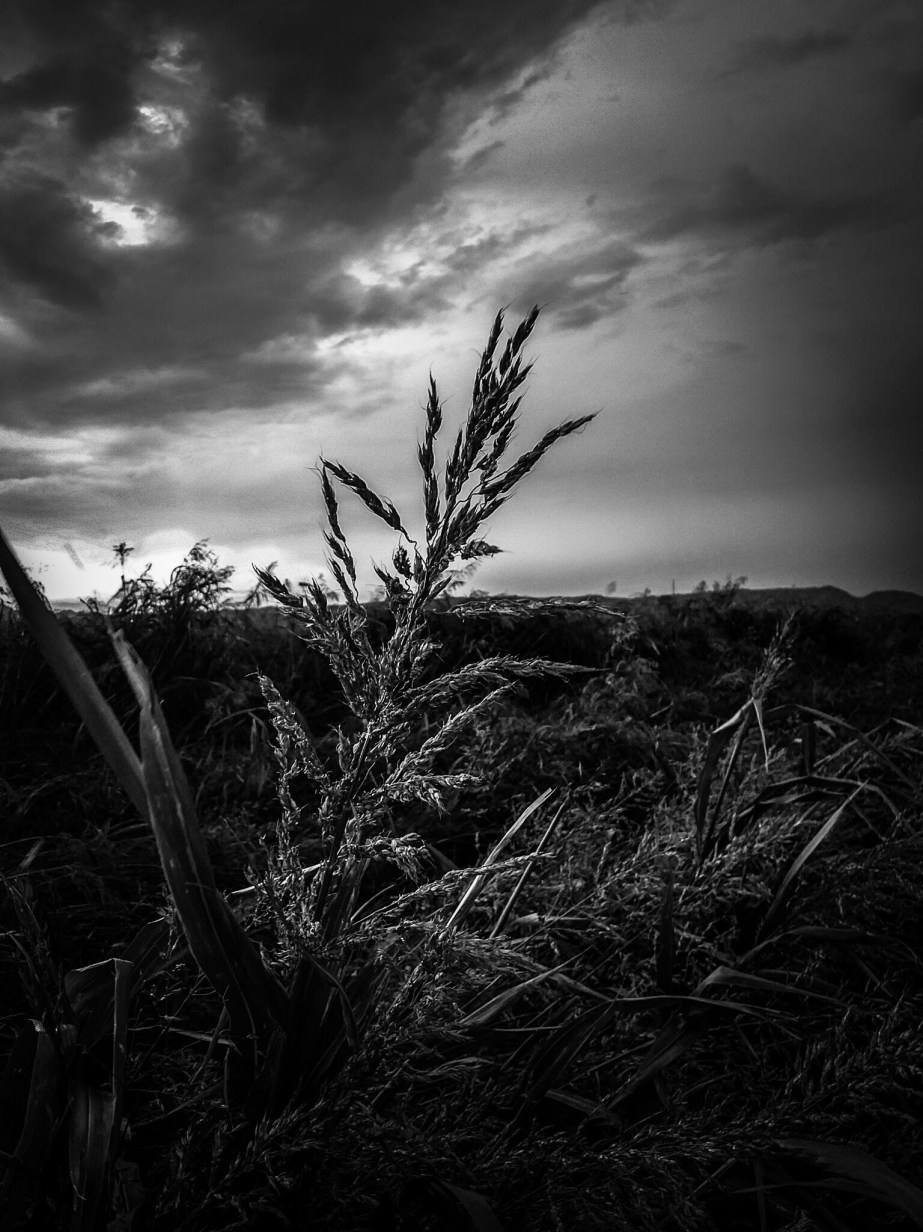 wp-1404872602623 image