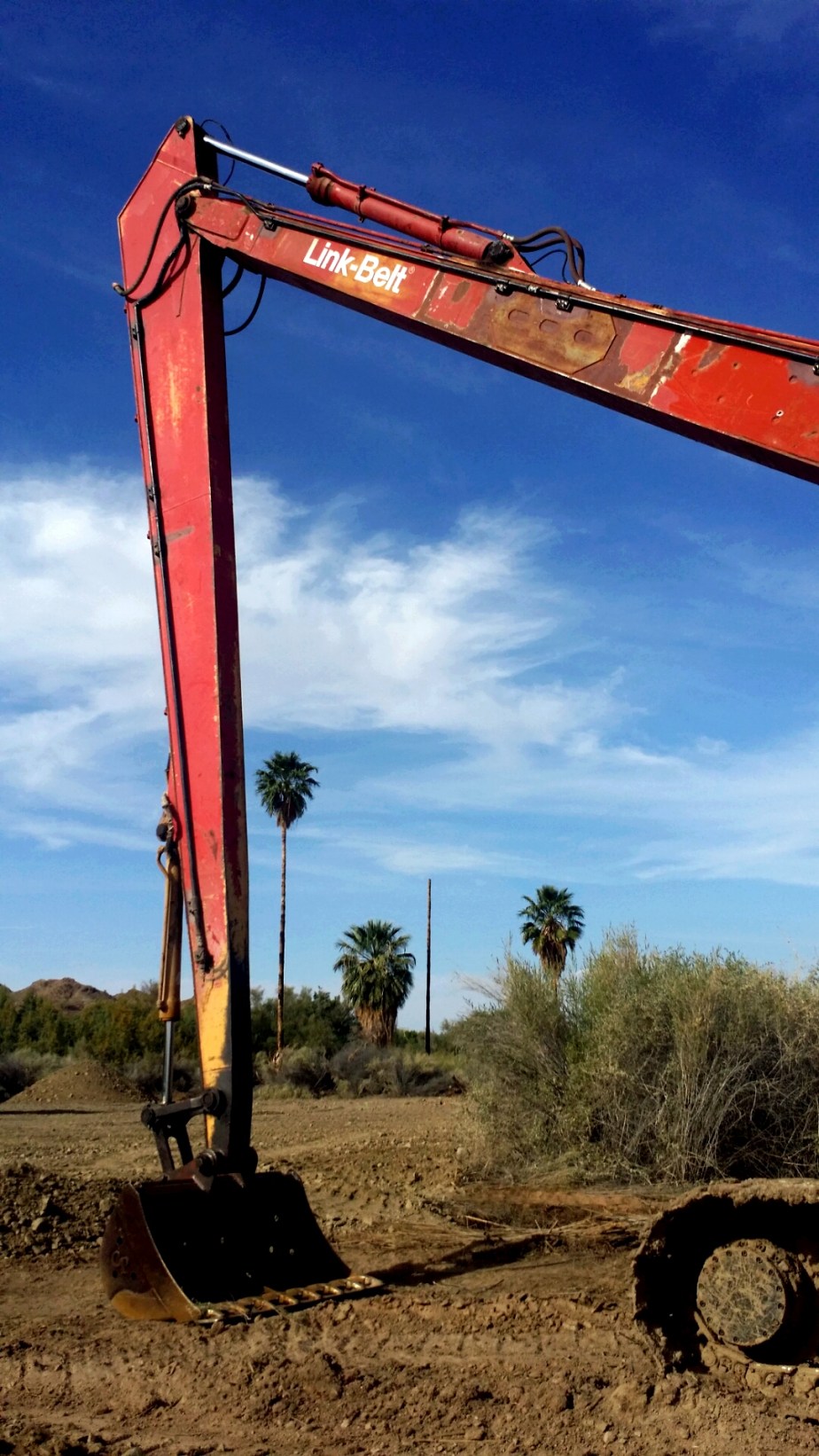 wp-1405481788691 image