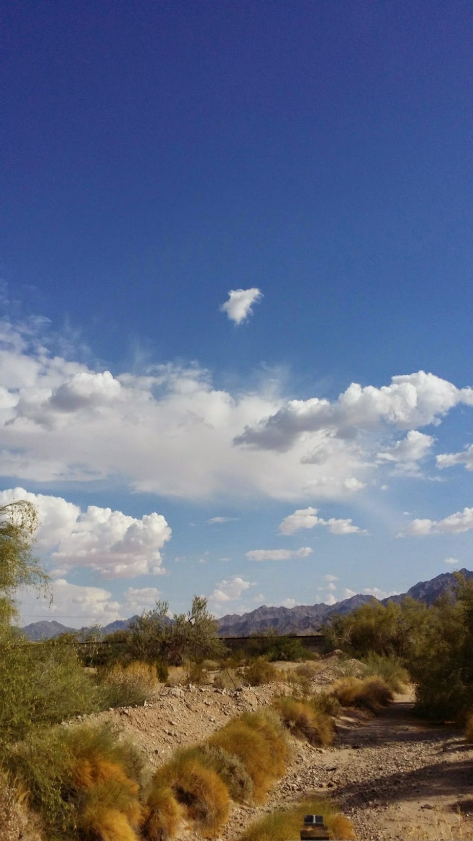 wp-1406416752619 image