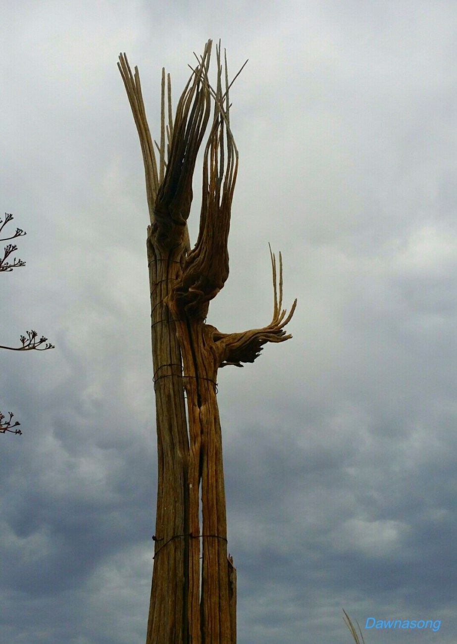 2014-08-02 01.07.22_0.jpg image