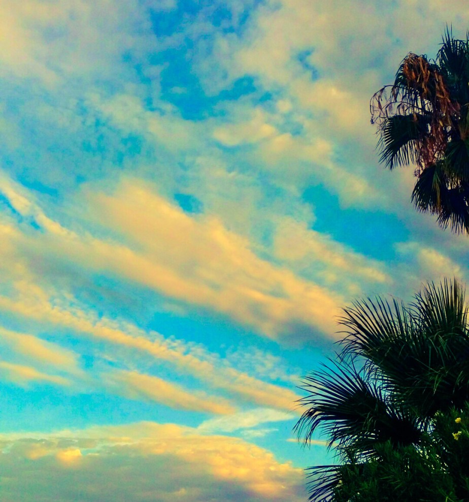 PSX_20140802_014647.jpg image