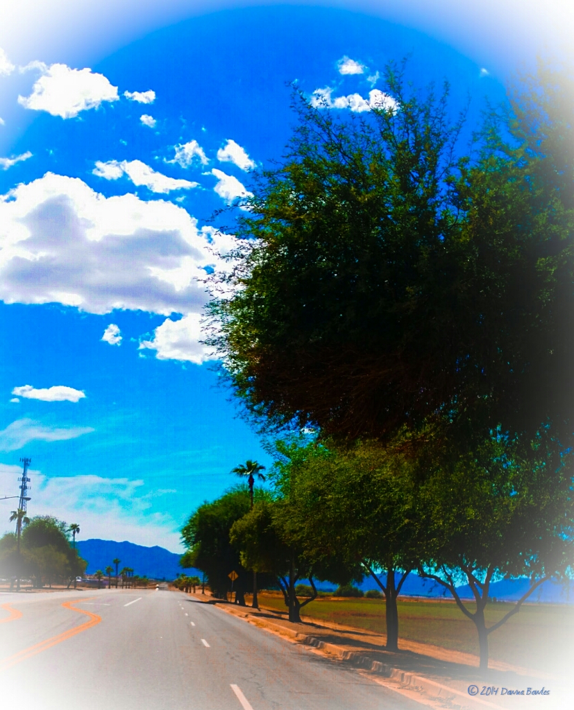 PSX_20140823_153828_wm.jpg image