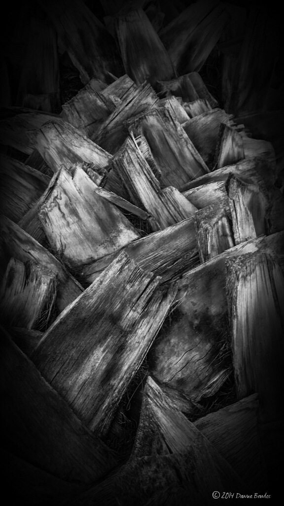 PSX_20140824_185220_wm.jpg image