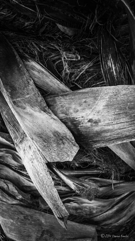 PSX_20140824_185525_wm.jpg image