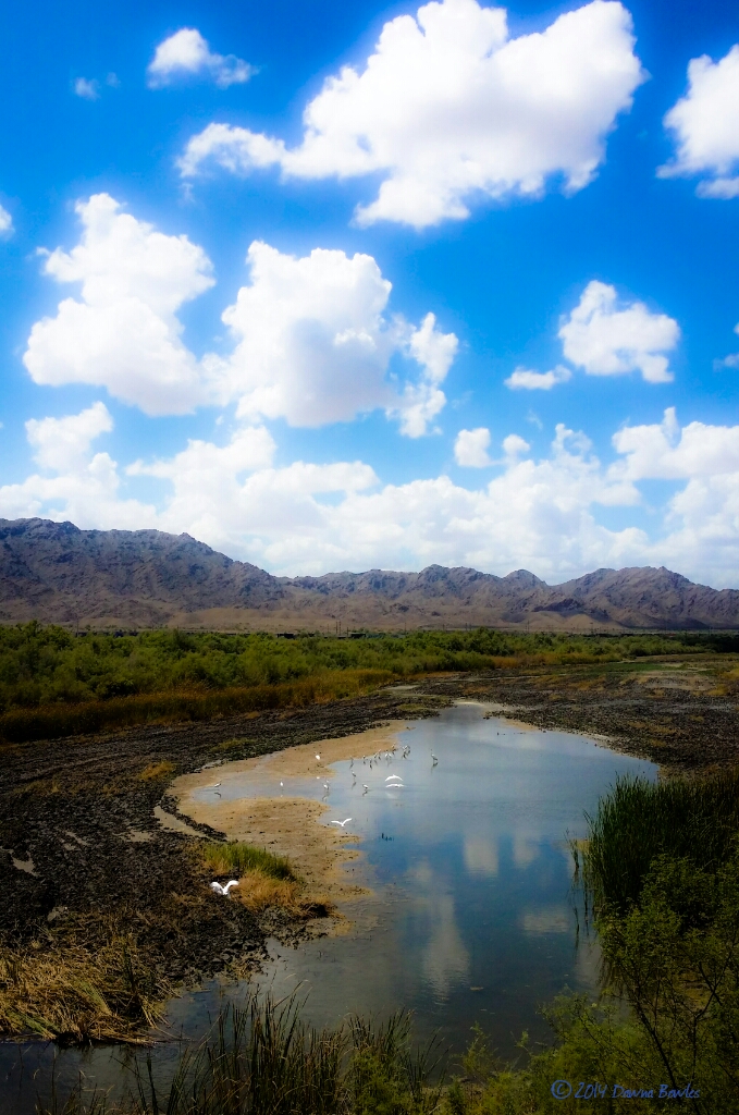 PSX_20140905_165344_wm.jpg image