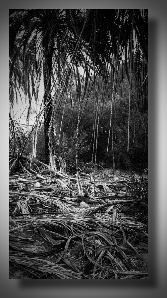 wpid-psx_20140913_180916.jpg image