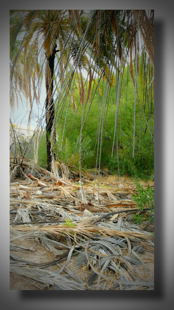 wpid-psx_20140913_180955.jpg image