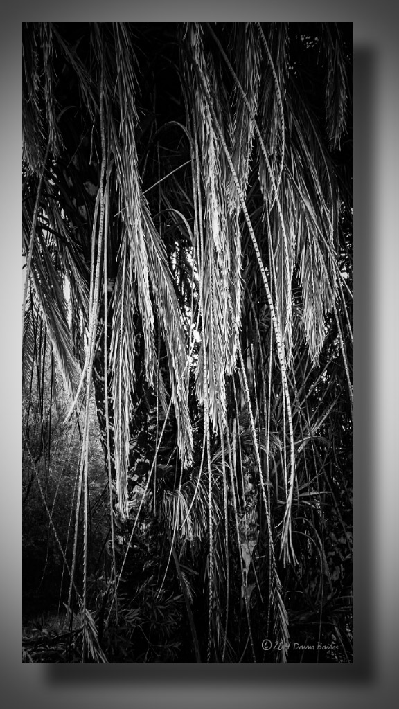 wp-1410656704289 image