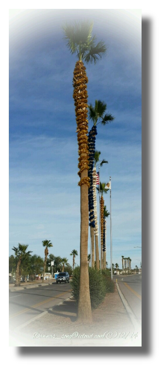 IMG_20141225_090113.jpeg image