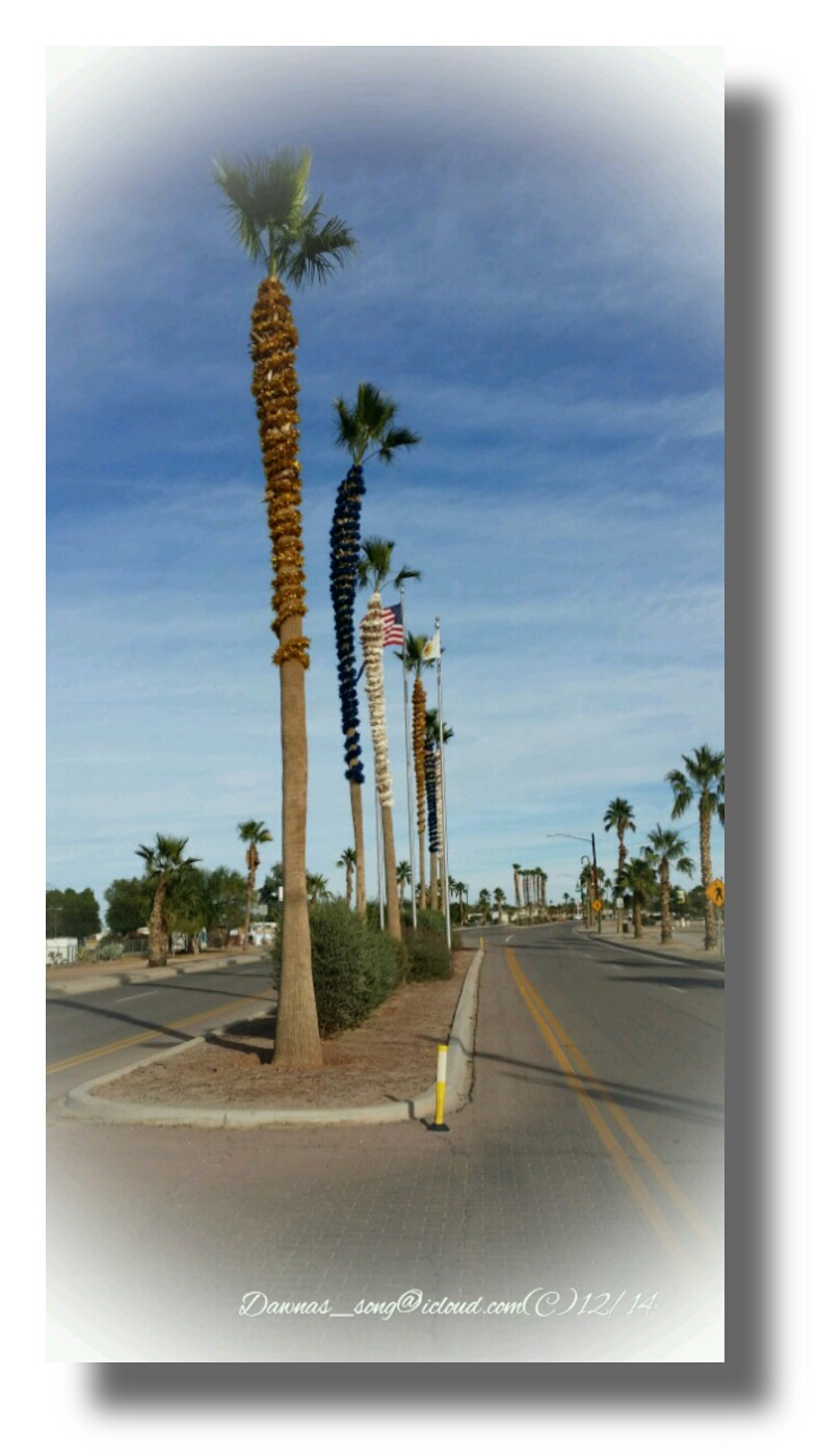 IMG_20141225_090306.jpeg image