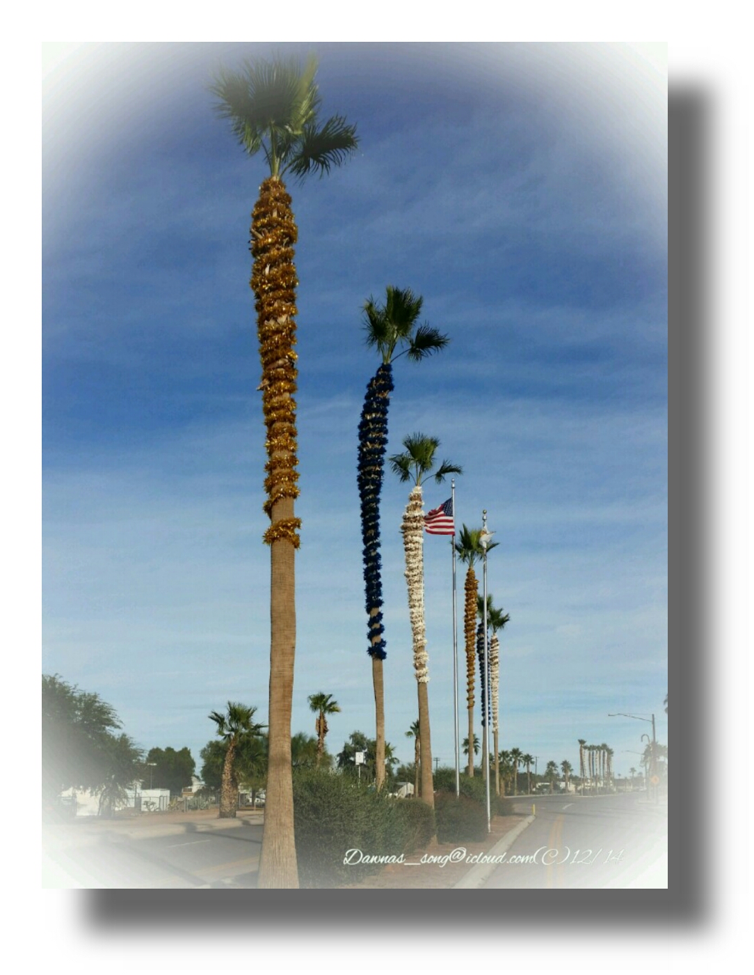 IMG_20141225_090325.jpeg image