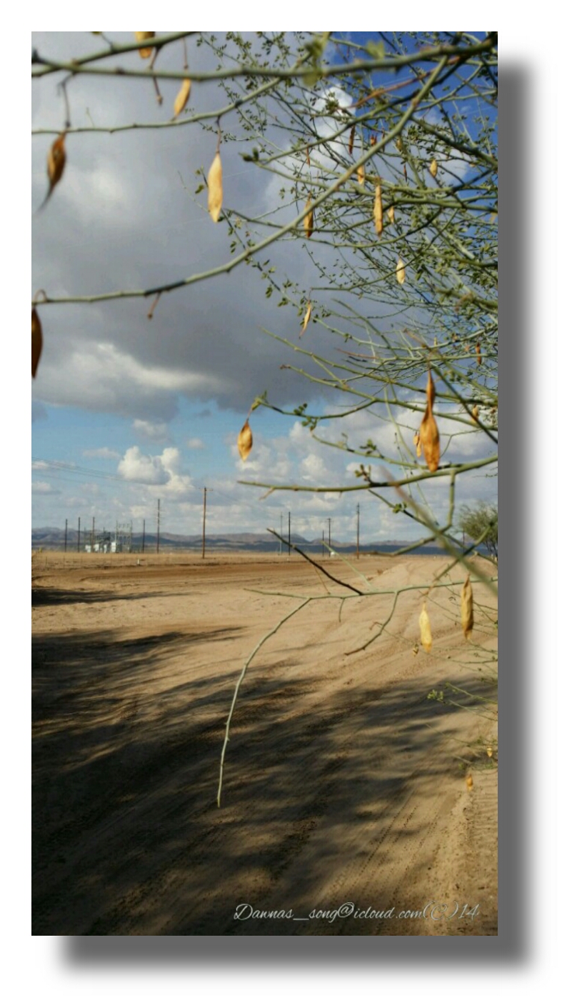 IMG_20141222_194730.jpeg image