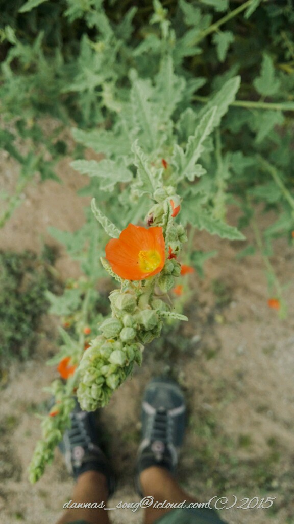 PSX_20150215_234803_wm.jpg image