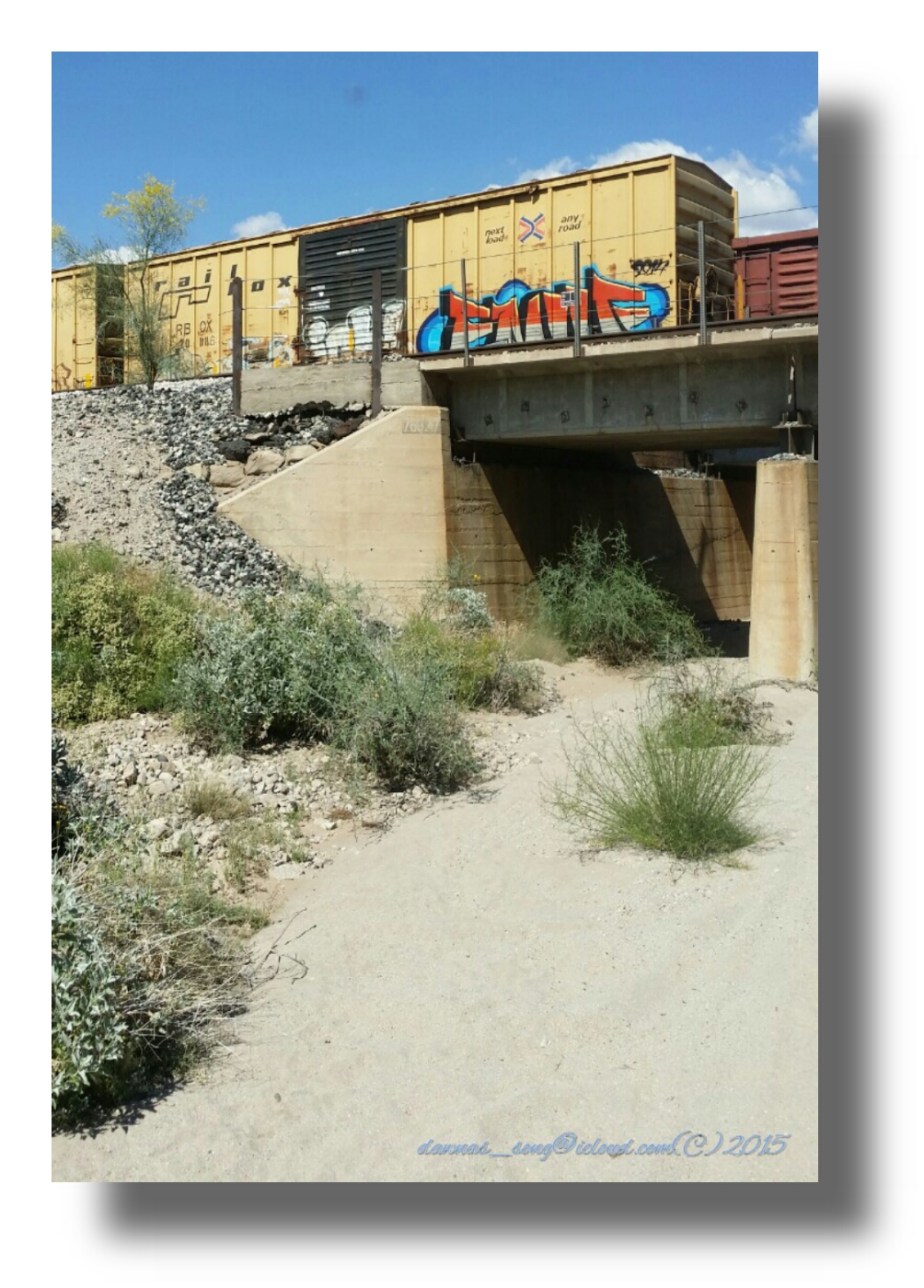 IMG_20150320_175506.jpeg image