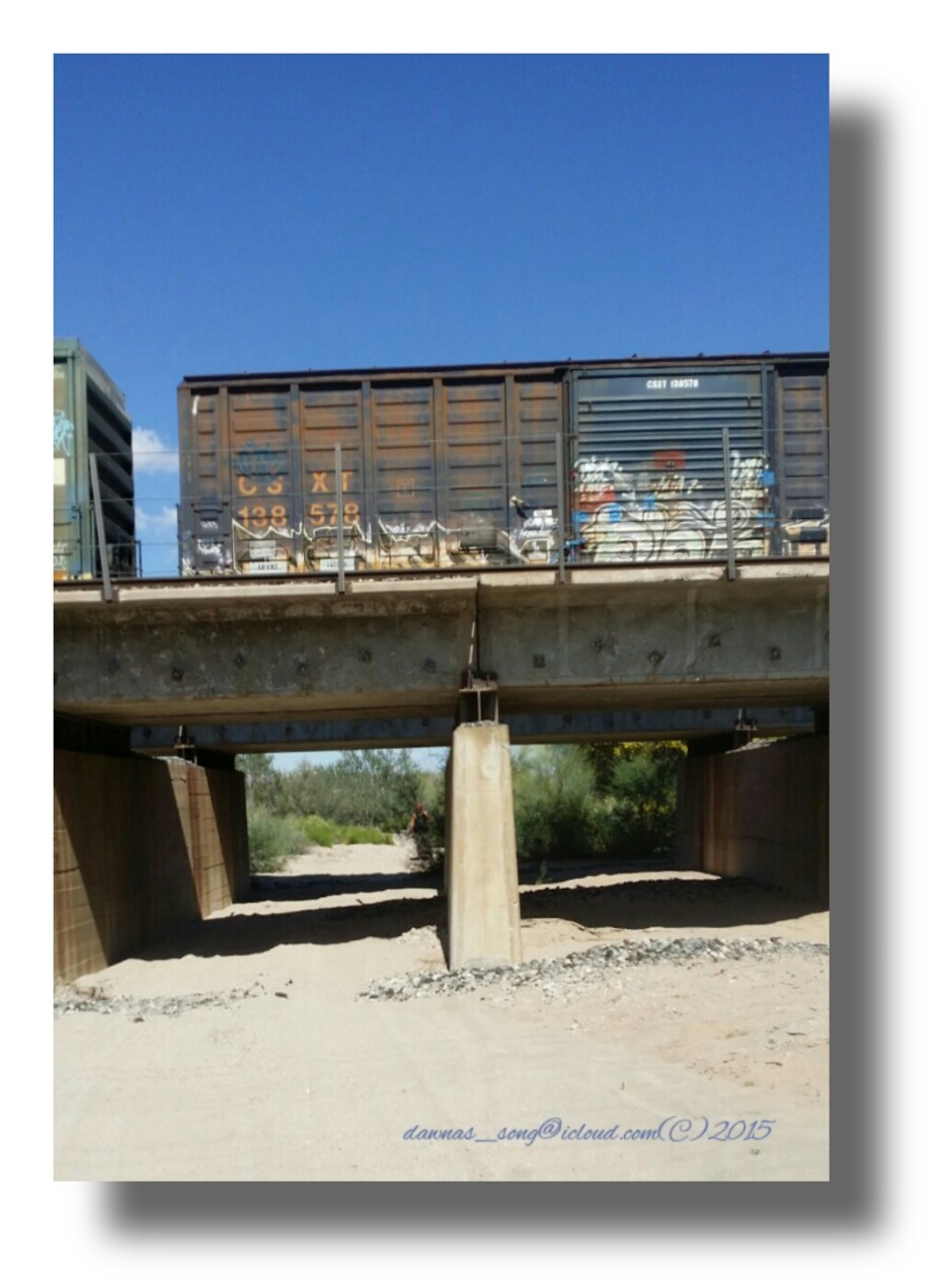 IMG_20150320_175907.jpeg image