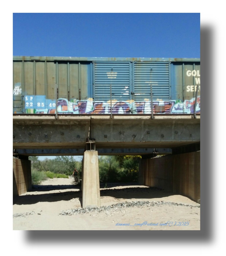 IMG_20150320_180004.jpeg image