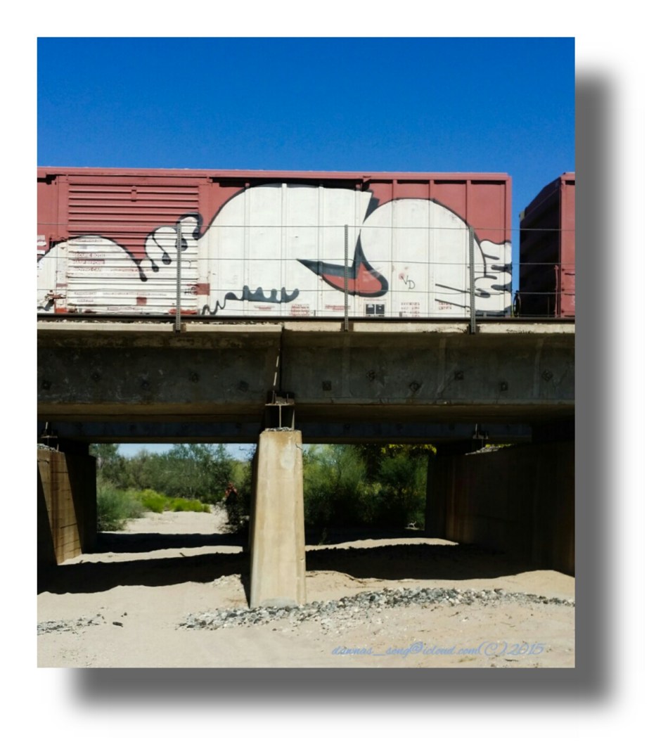 IMG_20150320_180232.jpeg image