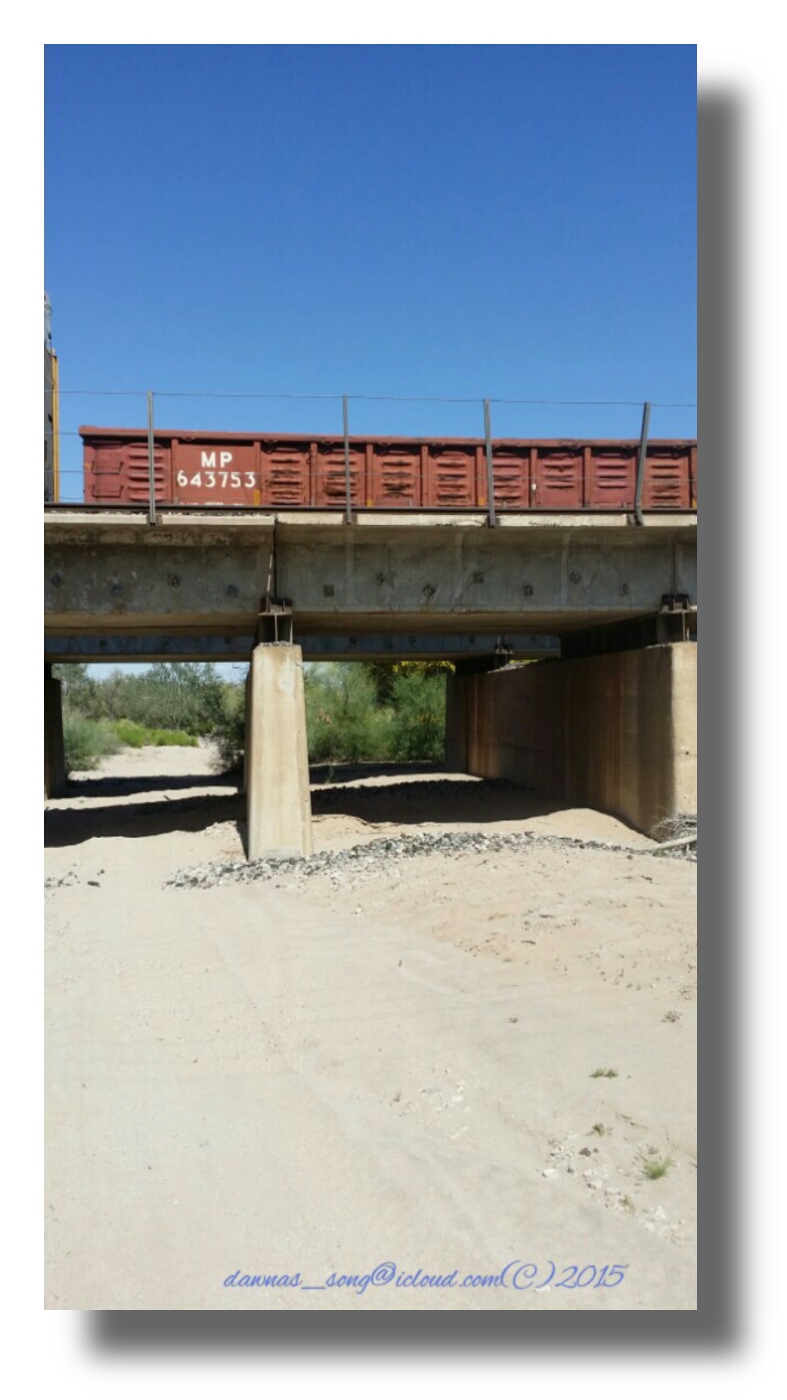 IMG_20150320_180655.jpeg image